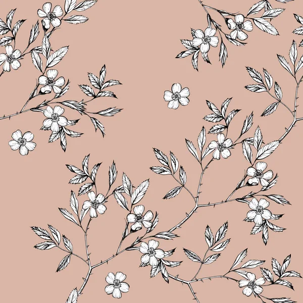 Botanical drawing flowers cosmos pattern. Seamless flower pattern background with Dog-rose flower drawing illustration for wedding table, greetings, wallpaper, fashion, backgrounds, wrappers, cards
