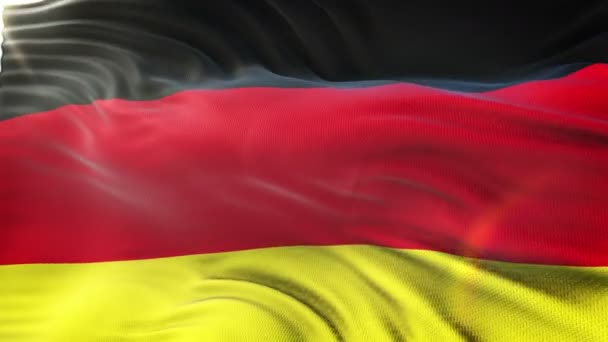 ドイツの国旗は 太陽に手を振るします 非常に詳細なファブリックのテクスチャでシームレスなループ 解像度で準備ができてのループします — ストック動画
