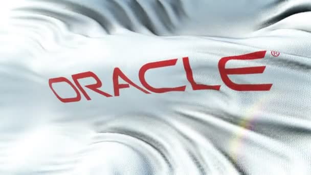 Oracle Flag Waving Sun Seamless Loop Highly Detailed Fabric Texture — Stock Video