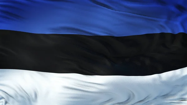 Estonia Realistic Waving Flag Highly Detailed Fabric Texture Resolution — Stock Photo, Image