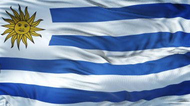 Uruguay gerçekçi 3d bayrak sallayarak son derece ayrıntılı kumaş ile doku 4 k çözünürlük. 