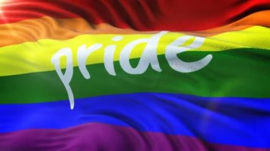 Lgbt gurur gökkuşağı bayrağı sallayarak tarih Pzr. Hazır 4 k çözünürlükte döngü.