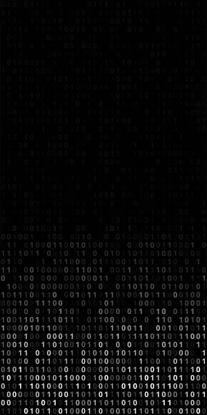 Écran de code binaire — Image vectorielle