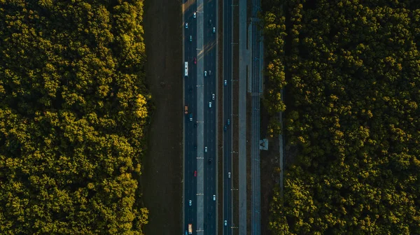 Forest road aerial