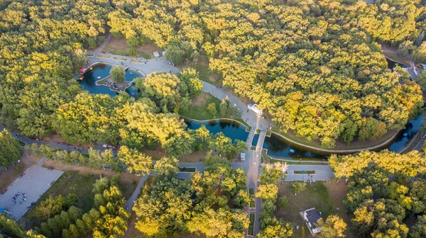 Şehir parkı havası