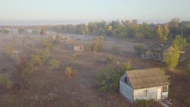 Casa abandonada na floresta matinal — Vídeo de Stock