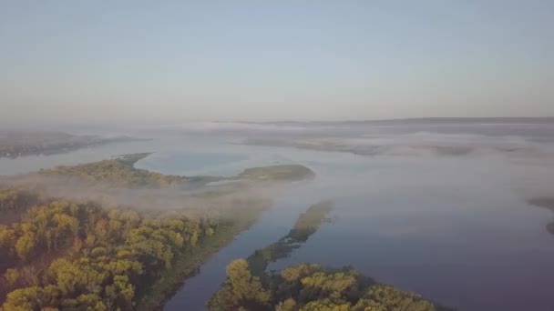 Річковий ранок і ліс — стокове відео
