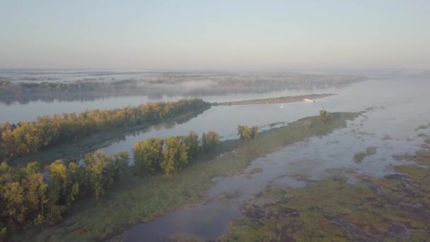 Nehir sabah ve orman — Stok video