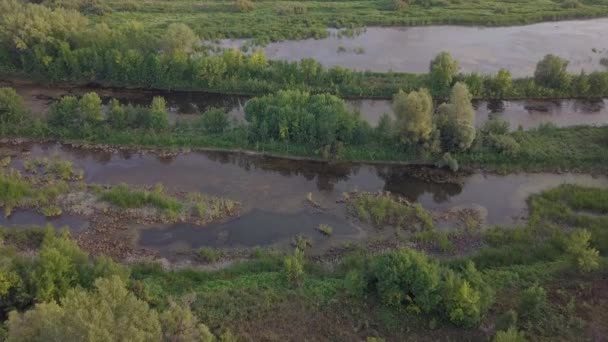 Riverland στη Λίμνη ποταμού — Αρχείο Βίντεο