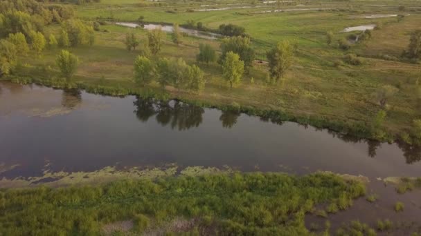 Riverland lake river — Stockvideo