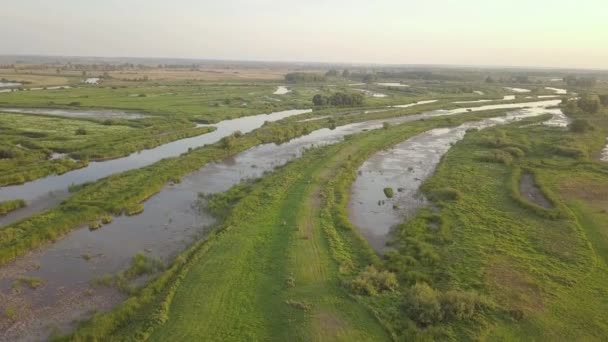 Riverland Göl Nehir — Stok video