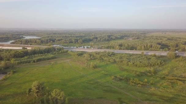 Estrada perto da floresta — Vídeo de Stock