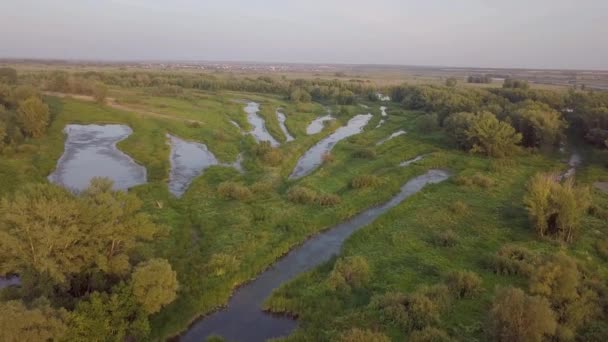 Riverland Göl Nehir — Stok video