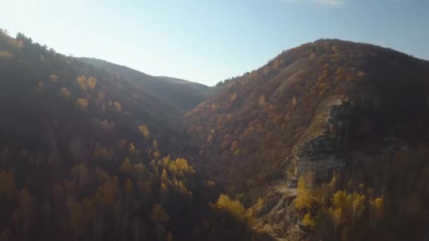 Rocas del bosque en otoño — Vídeo de stock