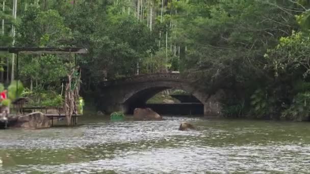 오래 된 fashinoed 강 다리 — 비디오