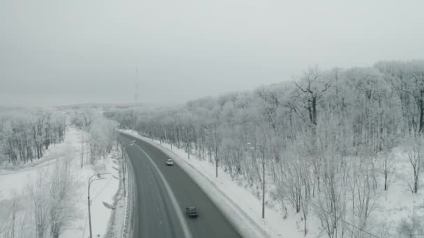 Zimą Drogi Latający Następujących Samochodów Drzewo Las Obok Antena Wideo — Wideo stockowe