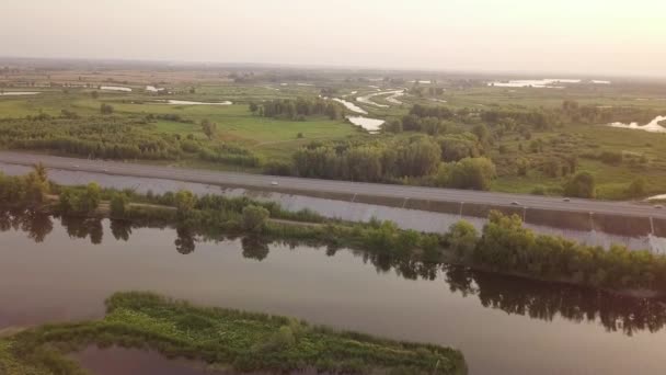 Straße in Waldnähe — Stockvideo