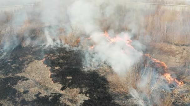 Лісовий вогонь повітряні — стокове відео