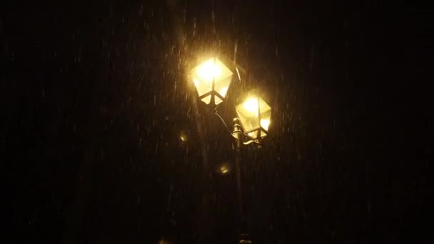 Schnee fällt in der Nacht. — Stockvideo