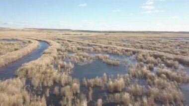 Sonbahar Gölü reed ile