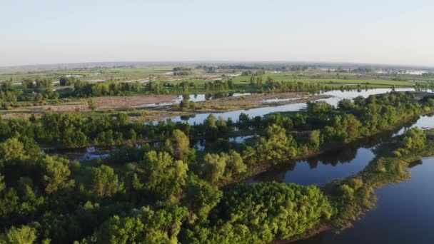 Grünes Land — Stockvideo