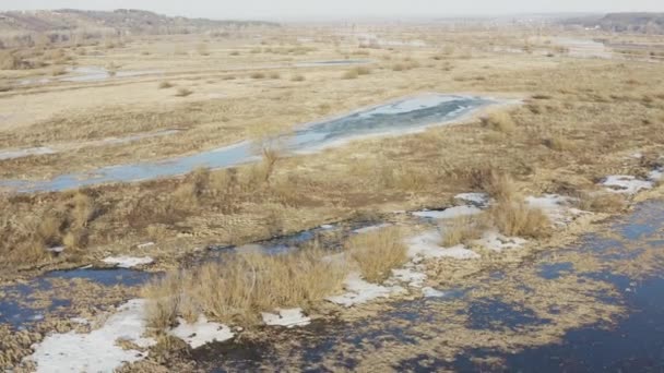 Hierba caída lago — Vídeos de Stock