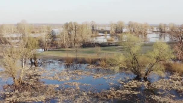 Desbordamiento de primavera paisaje — Vídeos de Stock