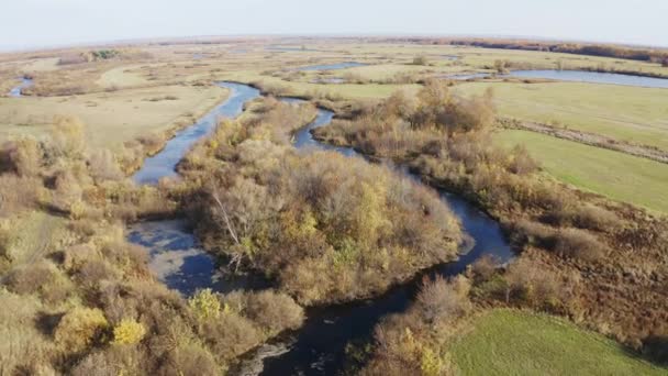 Осіннє озеро трава — стокове відео