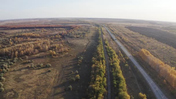 Route près de forêt — Video