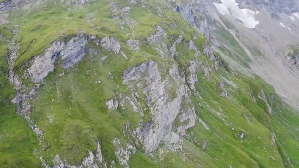 Río de alta montaña — Vídeos de Stock