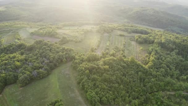 Europees luchtlandschap — Stockvideo