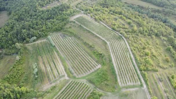 Paisaje aéreo europeo — Vídeos de Stock