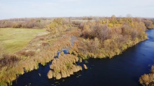 Fall landscape aerial — Stock video