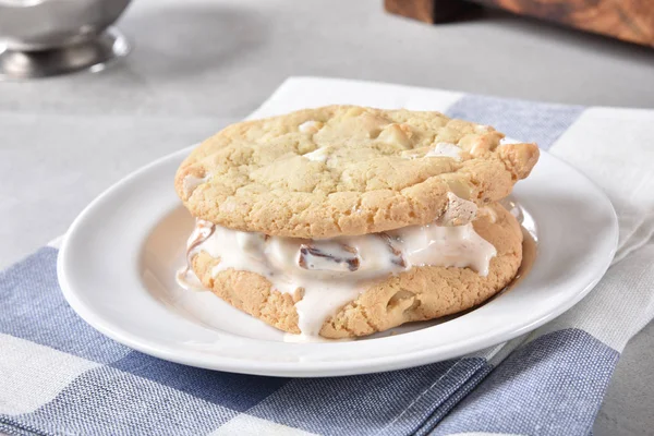自家製アイス クリーム サンドイッチ ピーカン バター クリームとマカダミア ナッツ クッキー — ストック写真