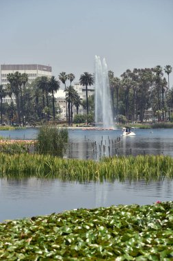 Kentsel bir parkta güzel bir göle