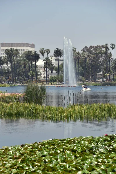 Kentsel bir parkta güzel bir göle