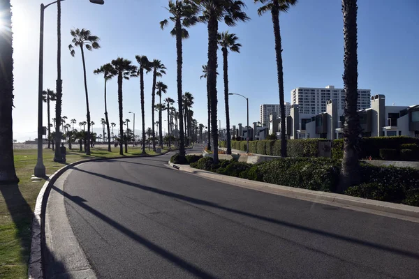Palm Tree Lined Road Residential Neighborhood Beach — Stock Photo, Image