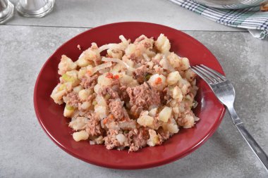 Yüksek açılı görünüş, sığır konservesi bir tabak kıymalı yemek.