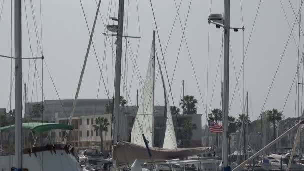 帆船在南加州美丽的海港中移动 — 图库视频影像