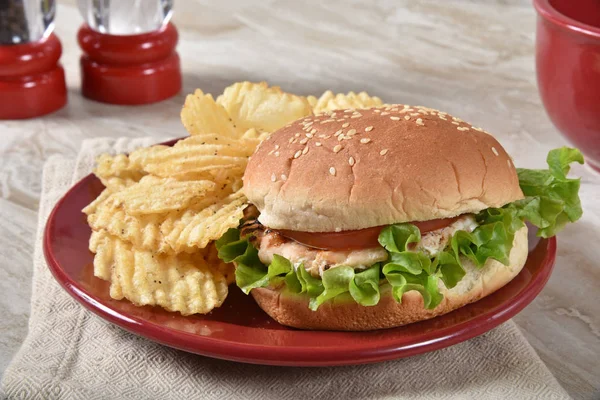 Healthy Delicious Tuna Burger Potato Chips — Stock Photo, Image