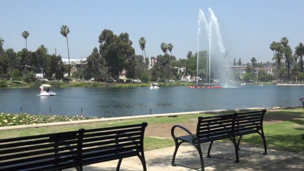 Hermosa Fuente Parque Ciudad — Vídeo de stock