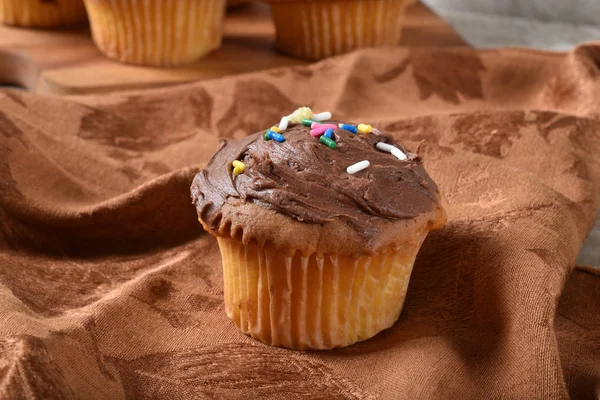 自制蛋糕 配巧克力霜和多色糖果洒 — 图库照片