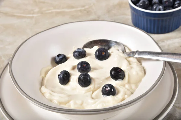 Closeup Bowl Greek Yogurt Fresh Blueberries — Stock Photo, Image