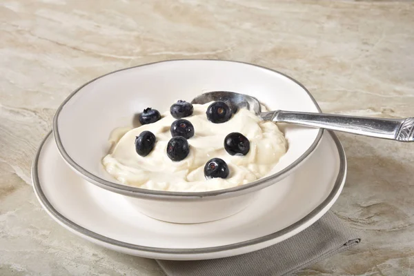 Bowl Yogurt Fresh Blueberries — Stock Photo, Image