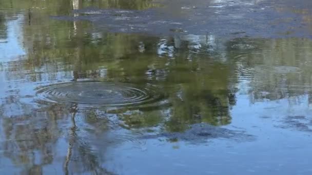 Metangas Som Bubblar Upp Tjärdal — Stockvideo