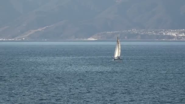 Velero Tranquila Hermosa Bahía Santa Mónica — Vídeo de stock