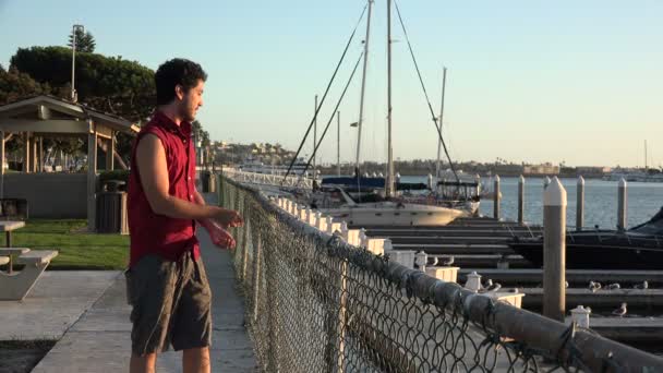 Attraktiver Junger Mann Überspringt Felsen Yachthafen Eines Segelbootes — Stockvideo