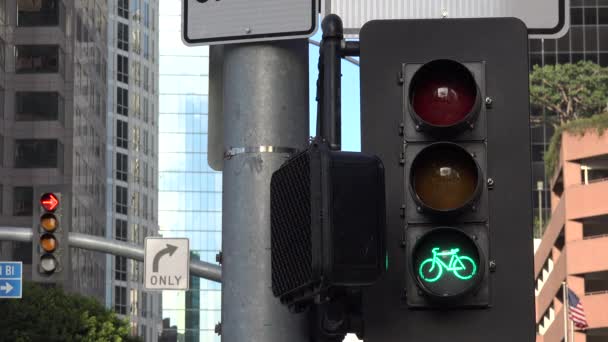 一个专门的自行车交通信号在市区的一个自行车交通信号上骑自行车从红色 到绿色 可循环 — 图库视频影像