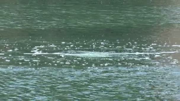 甲烷气体在湖面上冒泡 — 图库视频影像