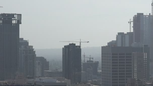 Cranes Towering Los Angeles Skyline Smoggy Day — Stock Video